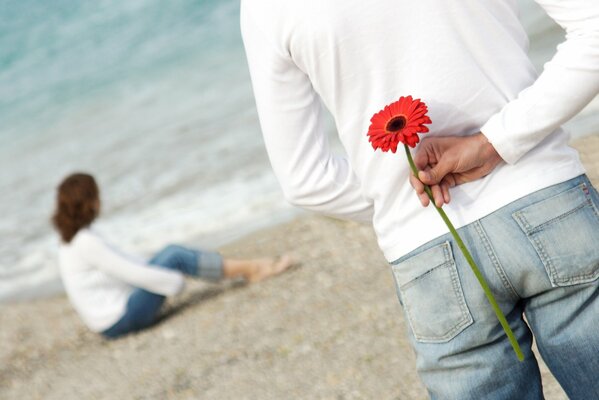 Amore Romantico del fiore rosso sulla riva