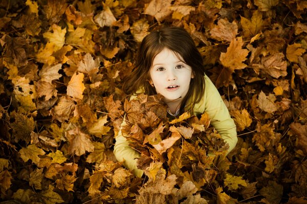 Der goldene Herbst fasziniert sogar ein Kind mit seinen Blättern