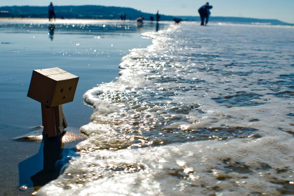 Beautiful picture about sea fishing