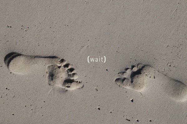 Meeting two loneliness on the beach