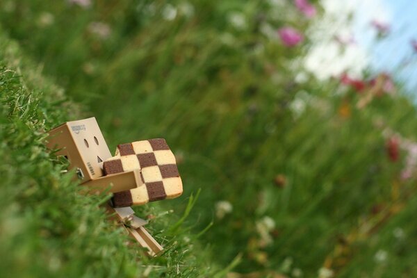 A toy with cookies in his hands on the grass