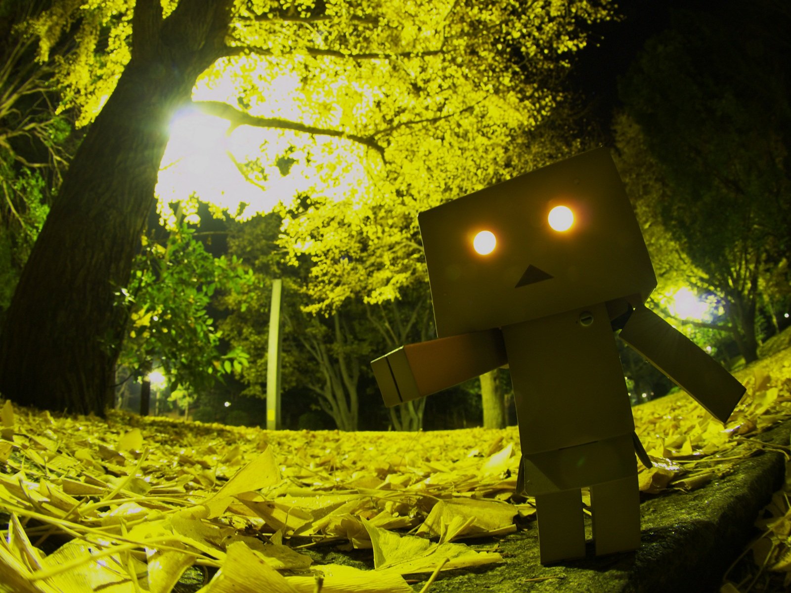 danboard danbo boîte robot jouet parc lumière yeux horreur feuillage arbres