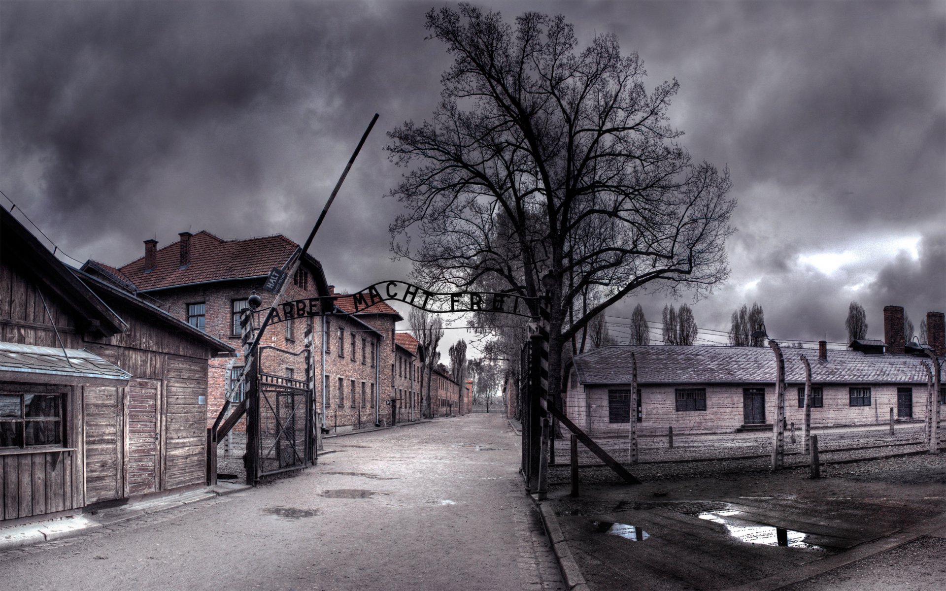 auschwitz il lavoro rende libero noir