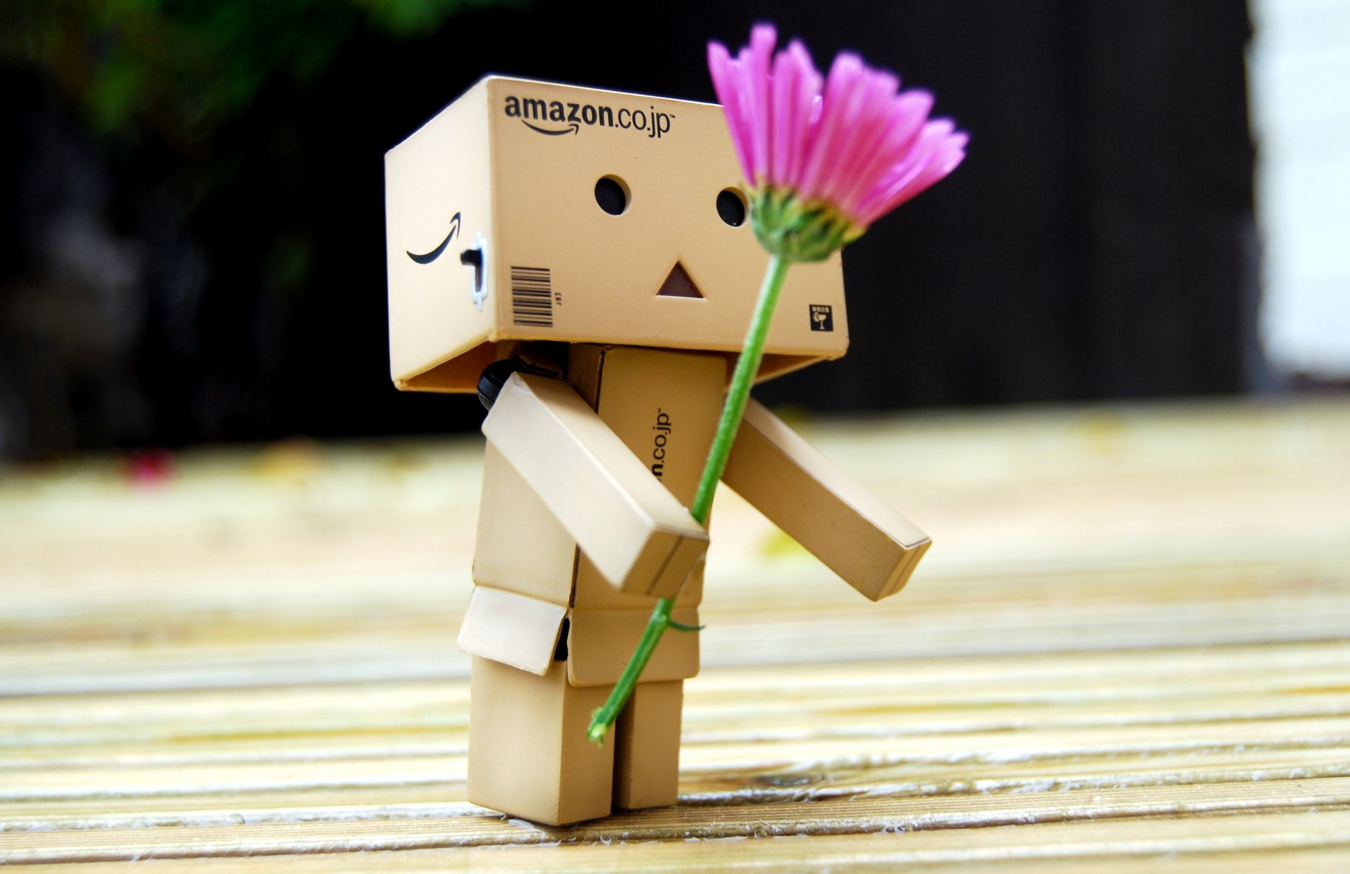 danboard danbo box robot toy flower present