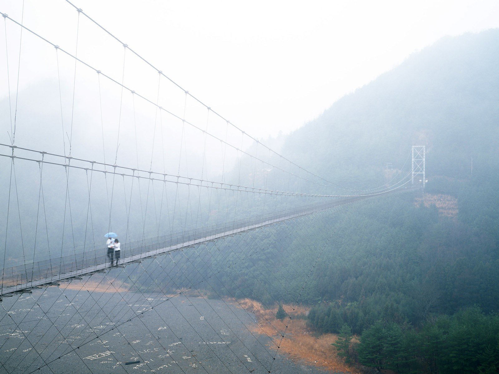 puente colgante orilla