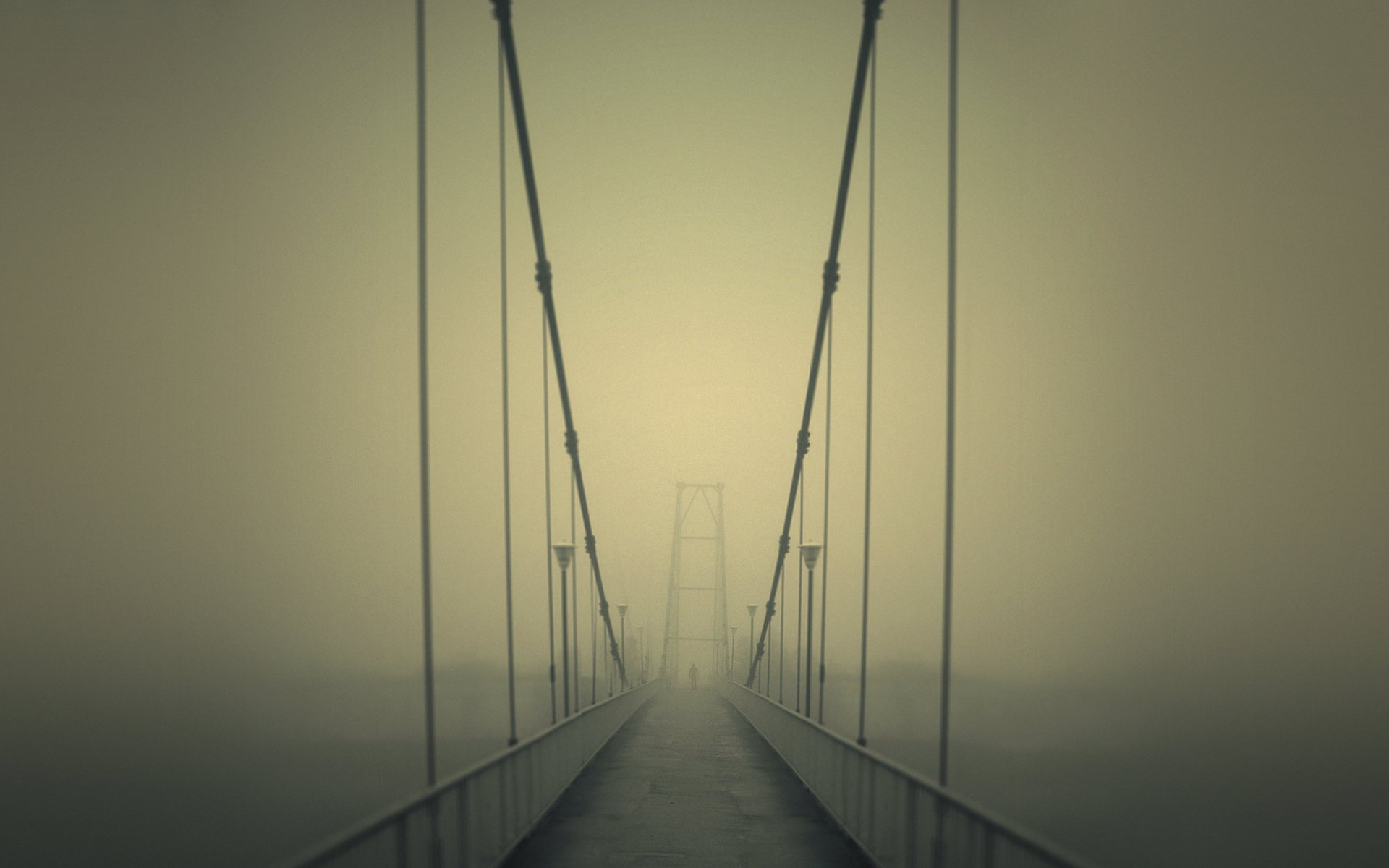 puente carretera niebla