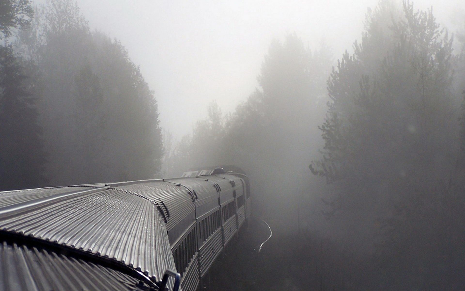 nebbia treno carri