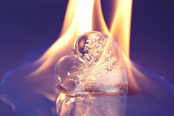 An icy heart with a burning flame