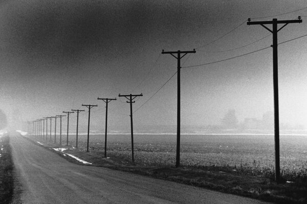 Gray poles with wires stretch into the distance into the fog