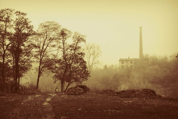 Ciudad en otoño, niebla, sin sol