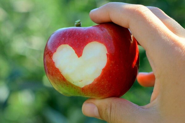 L uomo tiene una mela con un cuore scolpito su di essa