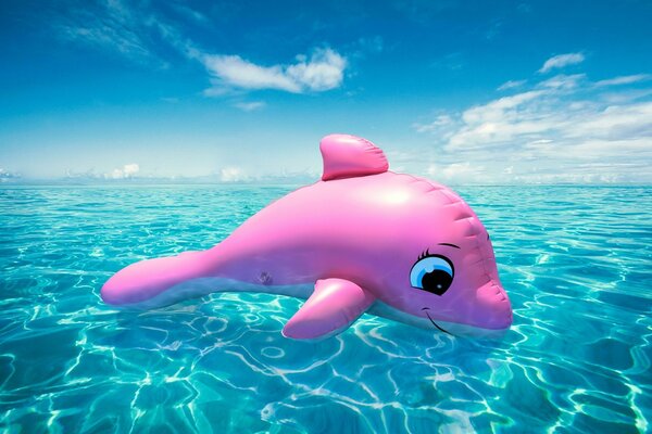 Pink inflatable dolphin on the water