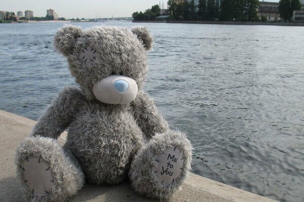 Teddy bear is sitting on the river embankment