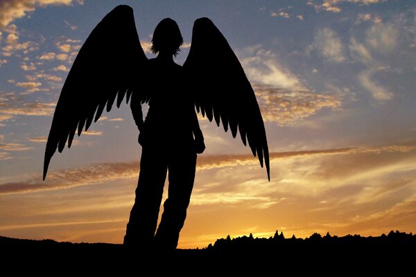 Silueta de ángel con alas en el fondo de la puesta de sol