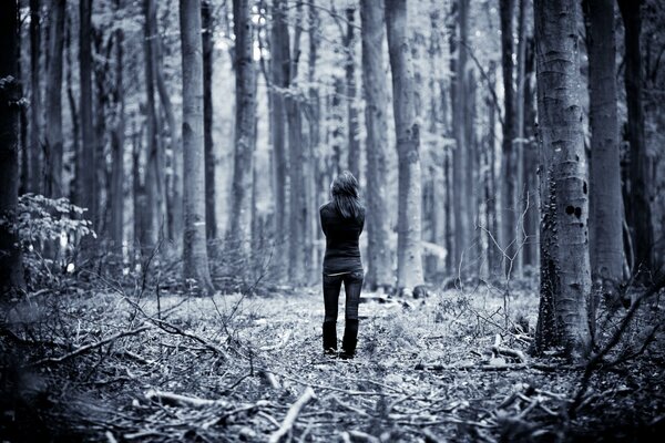 A lonely walk through the autumn forest