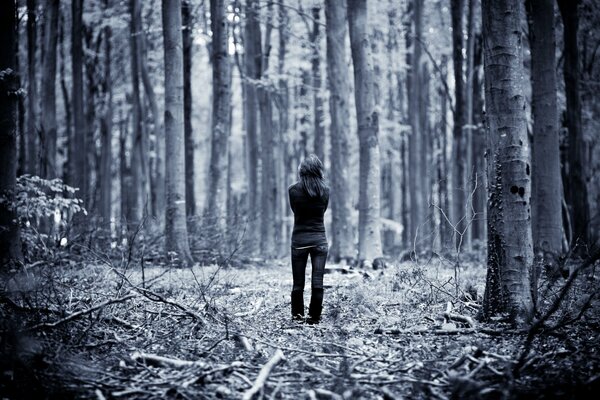 Samotny spacer po jesiennym lesie
