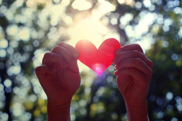 Valentine in the hands in the sunlight