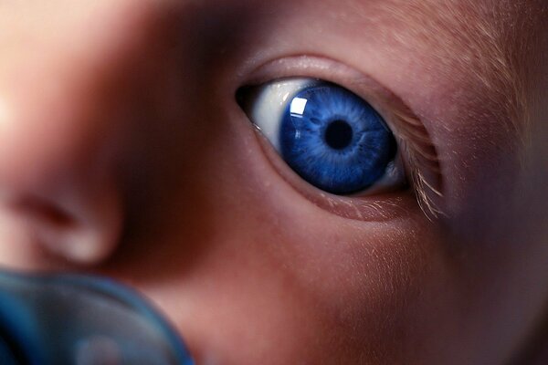 Малыш с очаровательными небесно-синими глазами