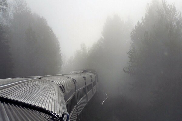 The train rides in the fog of the forest