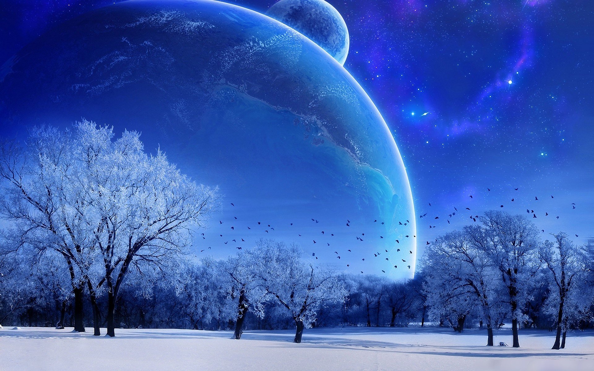 winter moon sky blue tree