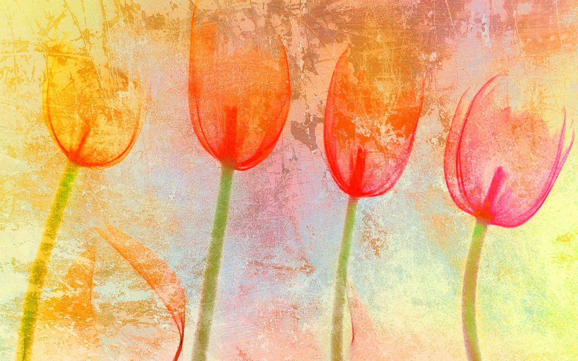 textures flowers background