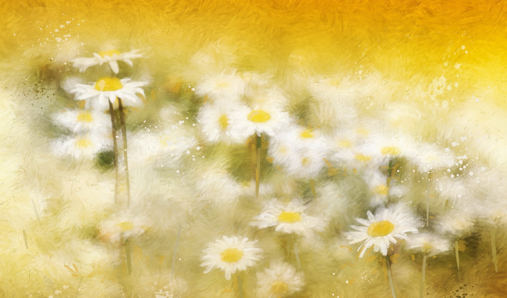 chamomile flowers background