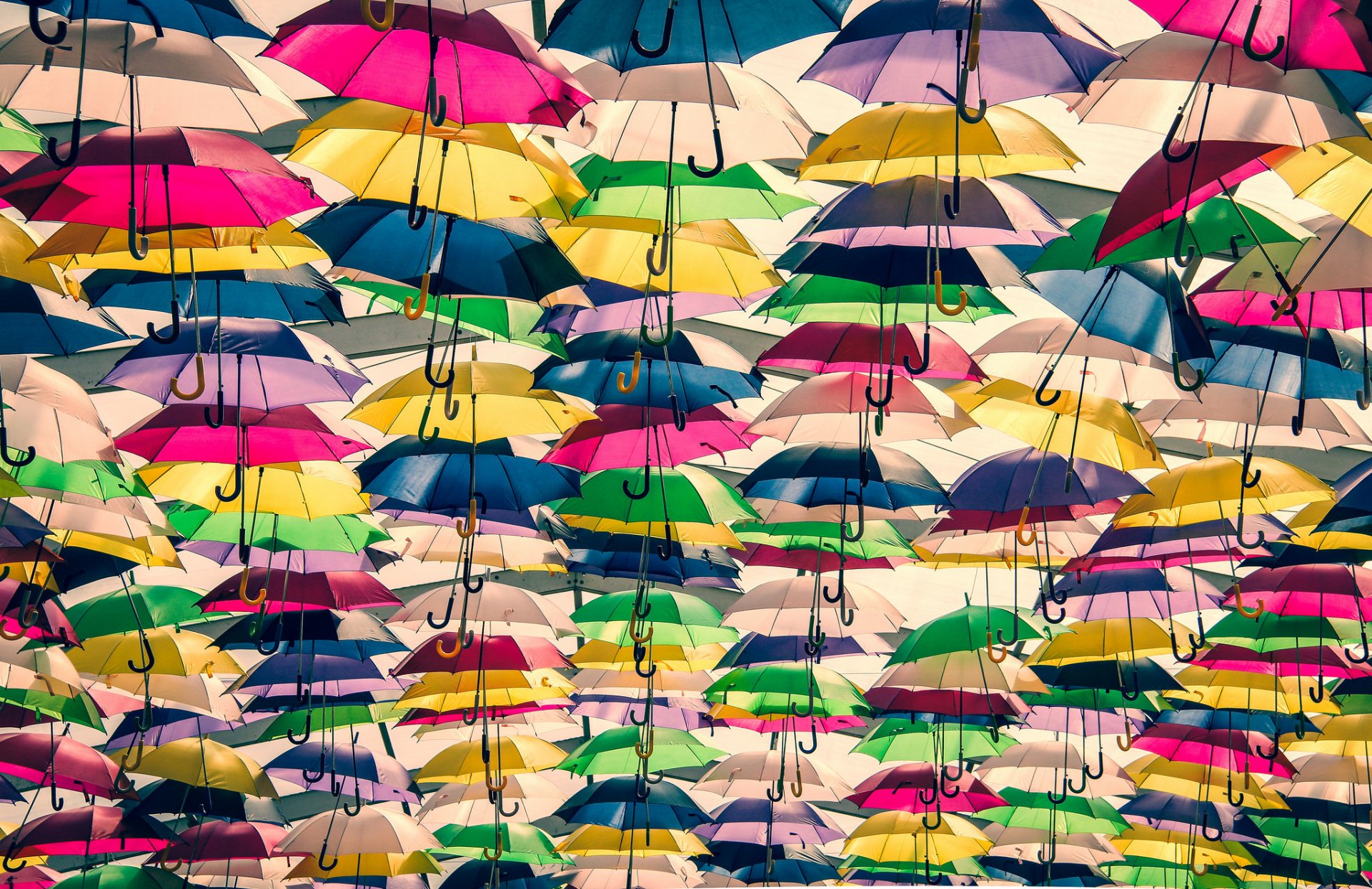 umbrellas colored many background