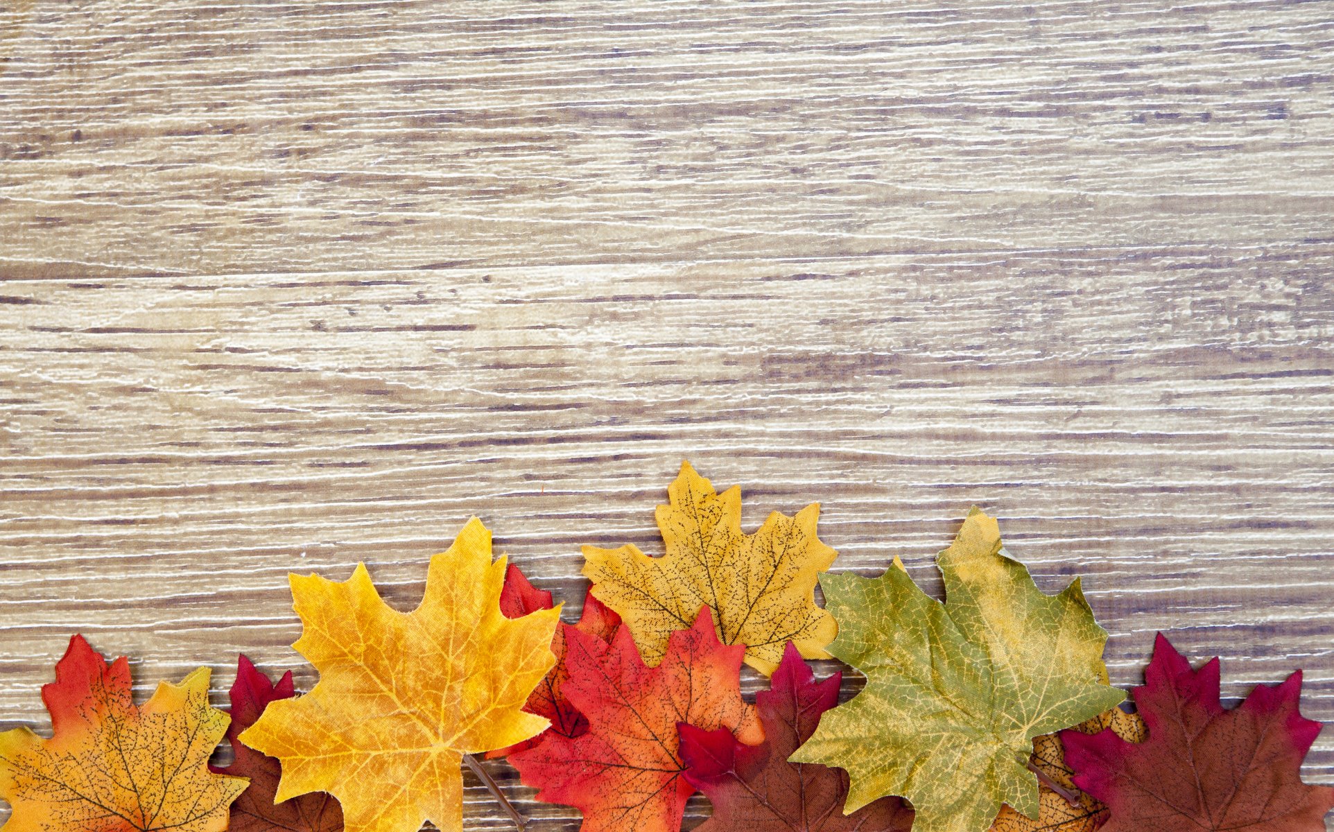 herbst blätter bunt baum textur herbstlaub