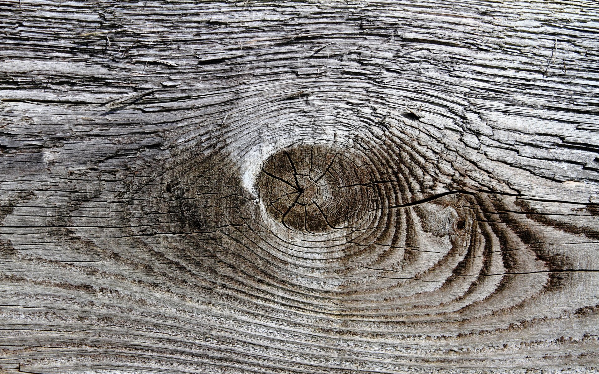 tablero madera fondo