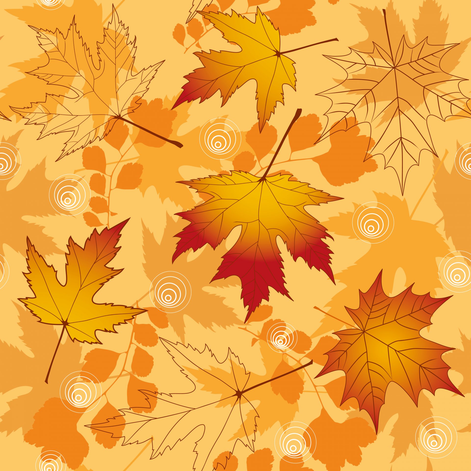 autumn leaves fall maple autumn background