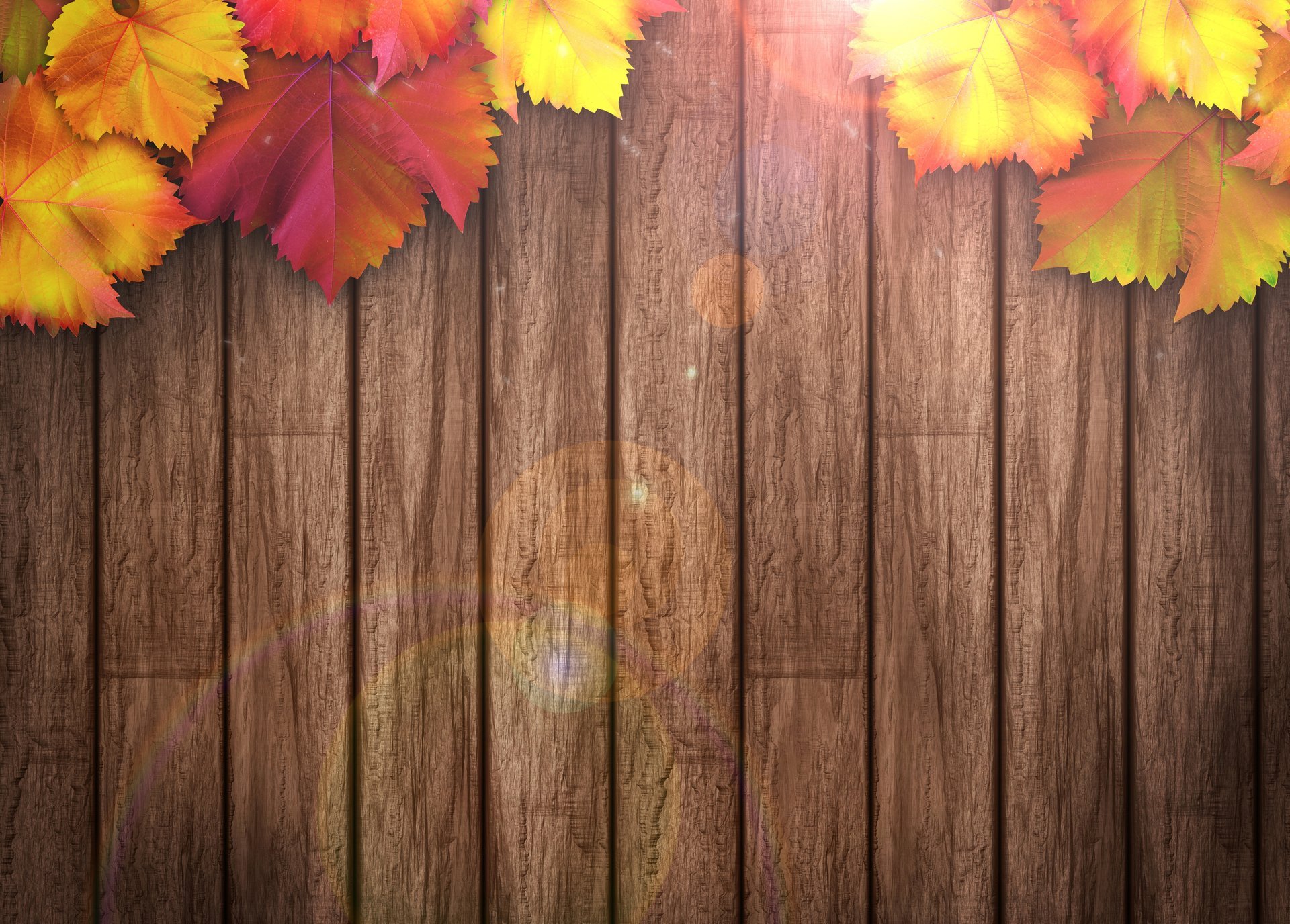 autumn leaves colorful wood textures background autumn leave