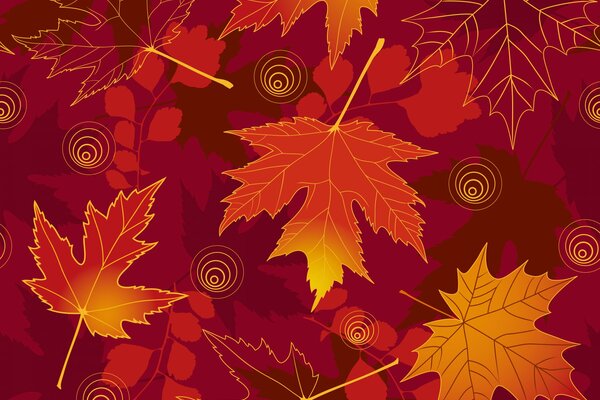 Feuilles d automne de différentes couleurs