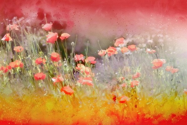 Painted red poppies in the field