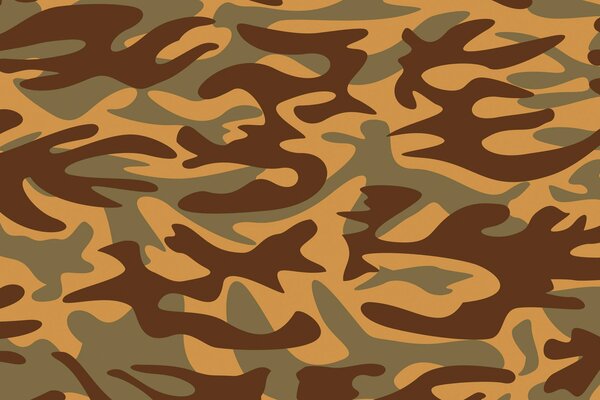 Model of camouflage pattern on fabric