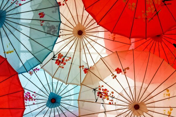 Fond de grands parapluies chinois