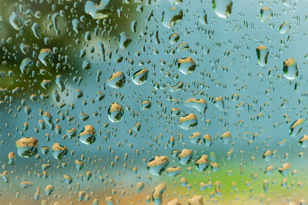 Photo of the day, drops on the glass