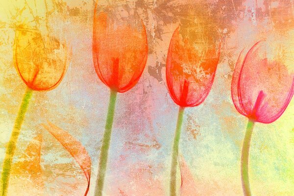 Texture in the form of a tulip mood color