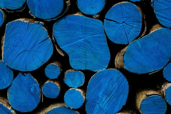 Ułożone na niebiesko drewno opałowe