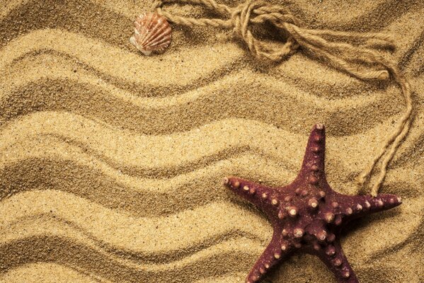 Different shapes made of sand texture