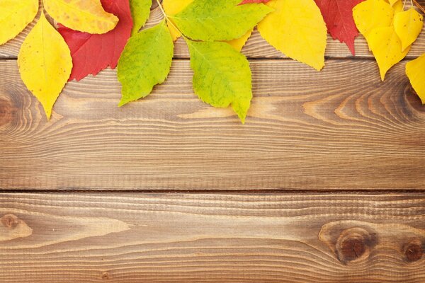 Yellow and green leaves on a wooden table