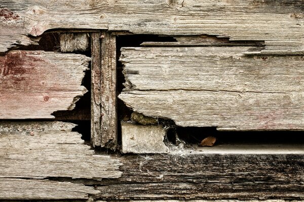 Old wooden boards