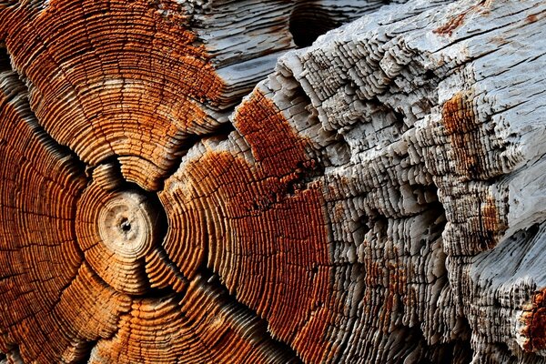 Hintergrund des Balkens im Schnitt