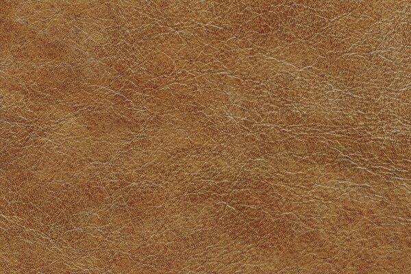 The texture of the leather upholstery