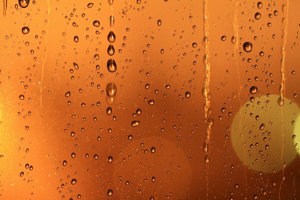 Lanterns make their way through the rain-soaked glass