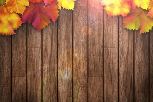 Autumn background: leaves on a wooden texture