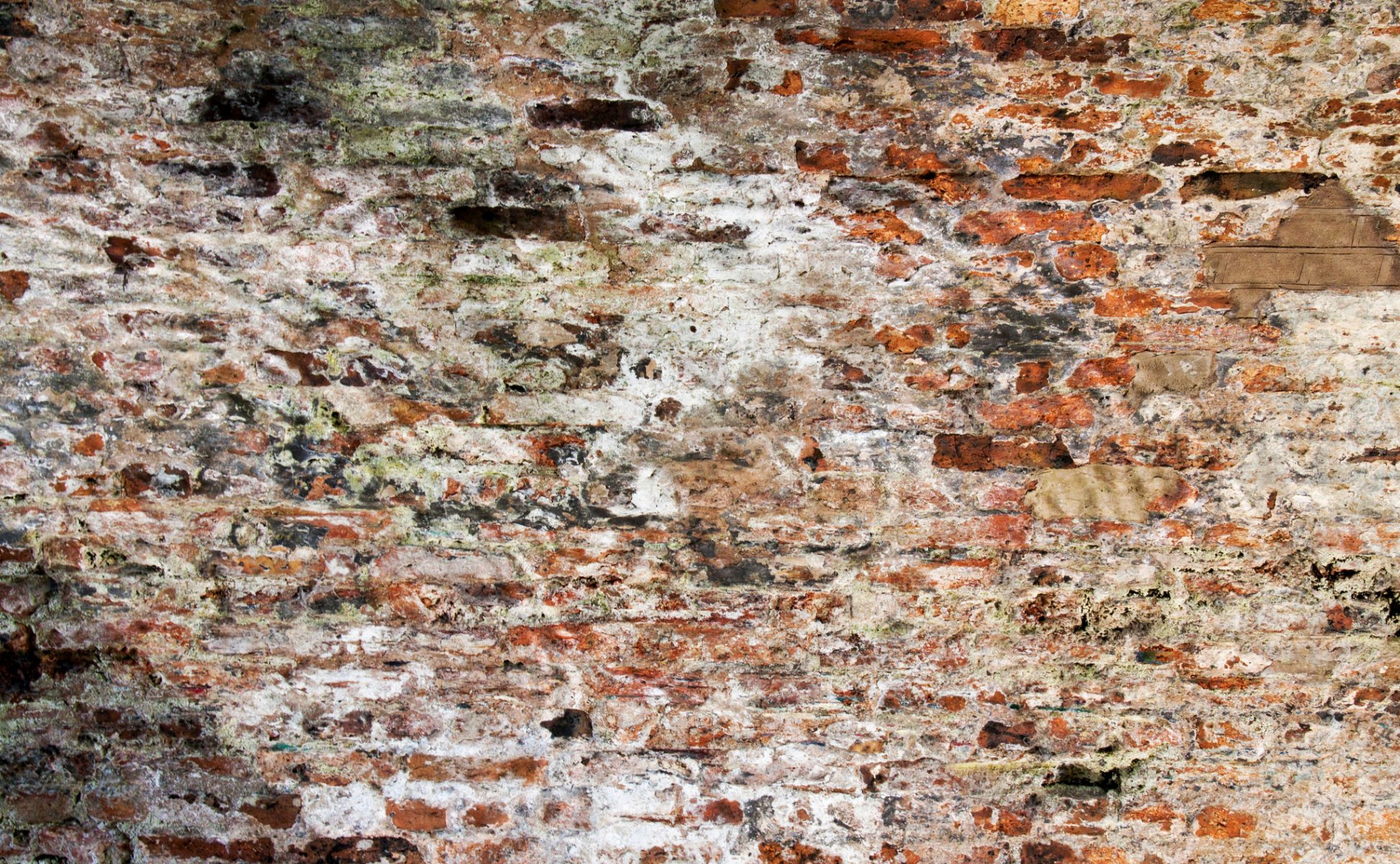 pared textura fondo ladrillos