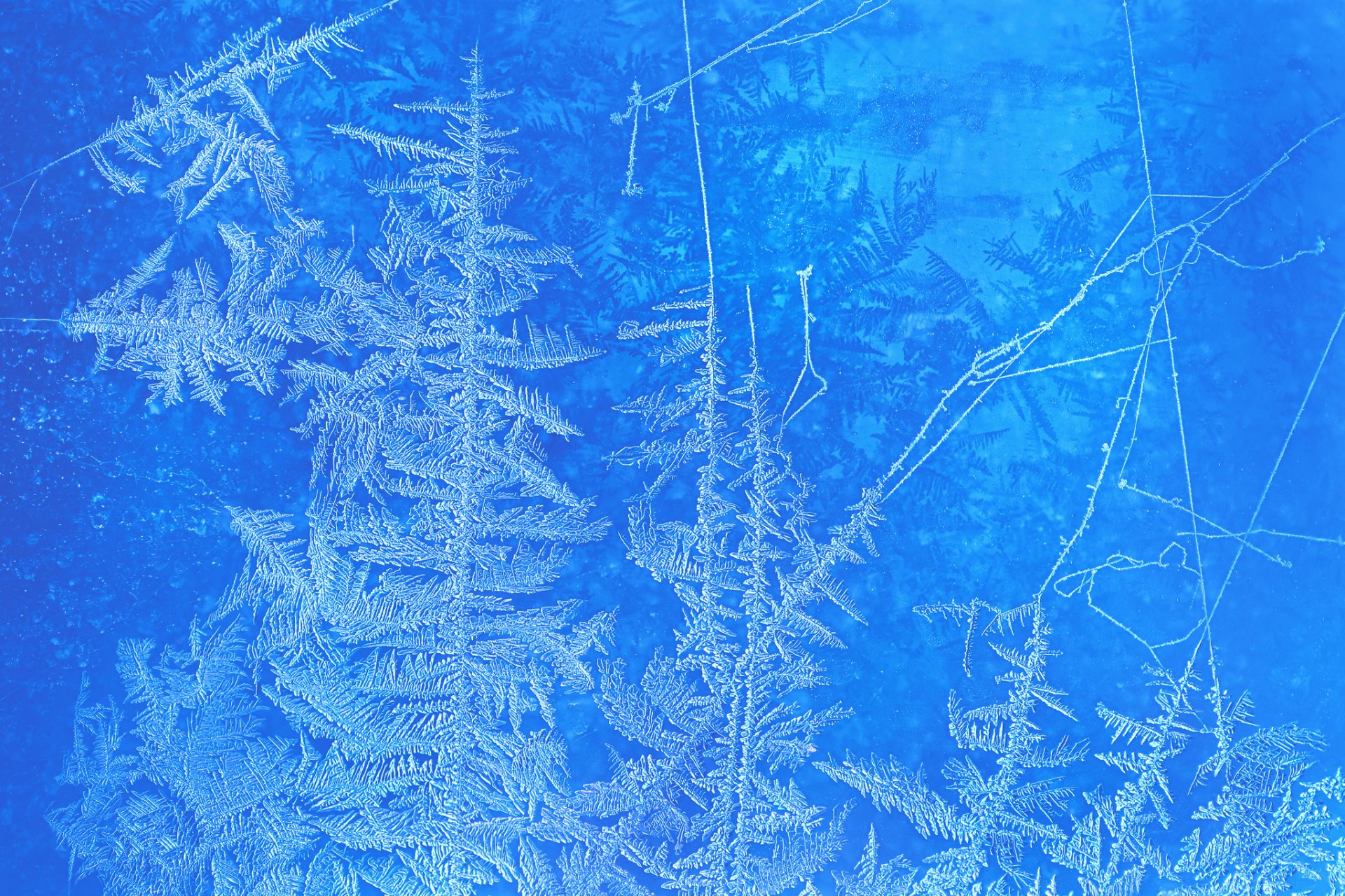 frost winter muster glas kälte fenster