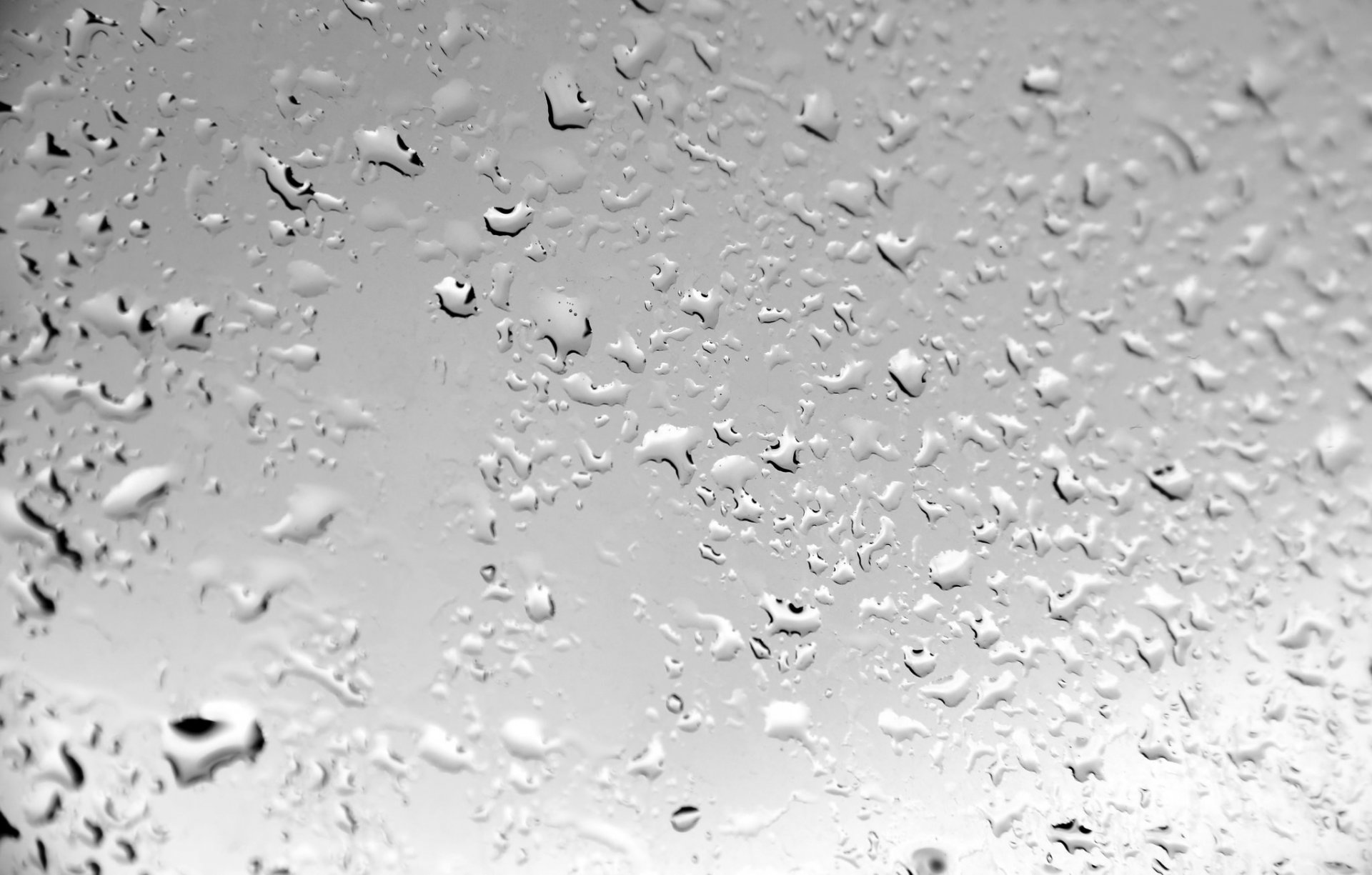 textura fondo gotas agua mojado