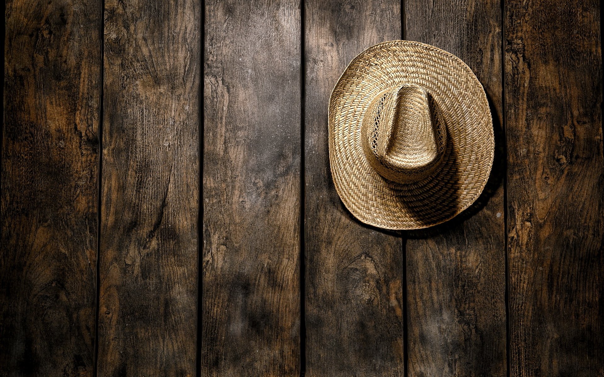 sombrero modelo pared árbol