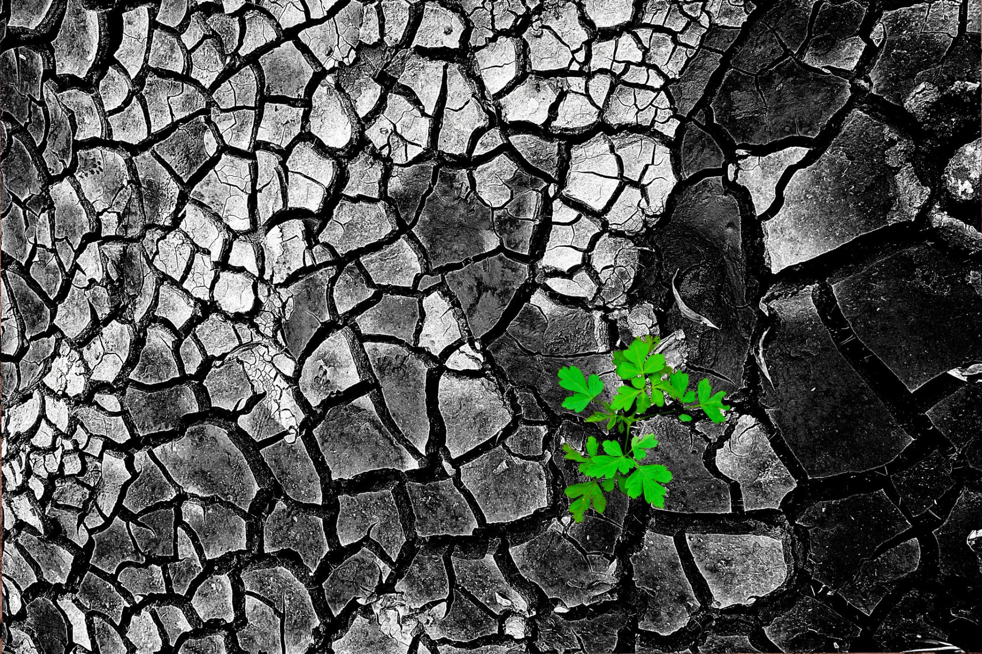 of the crack soil relief land textures leave